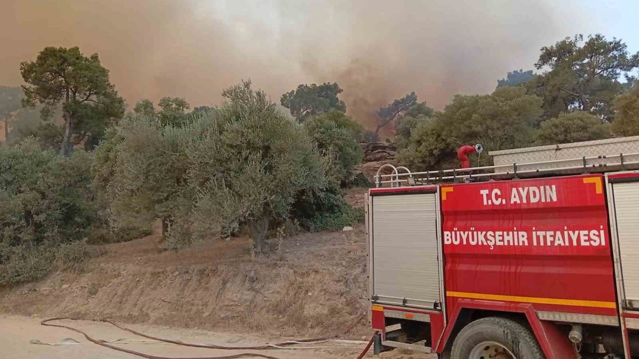 Çine'de alevlerden kurtarılan kaplumbağanın itfaiye müdahalesi