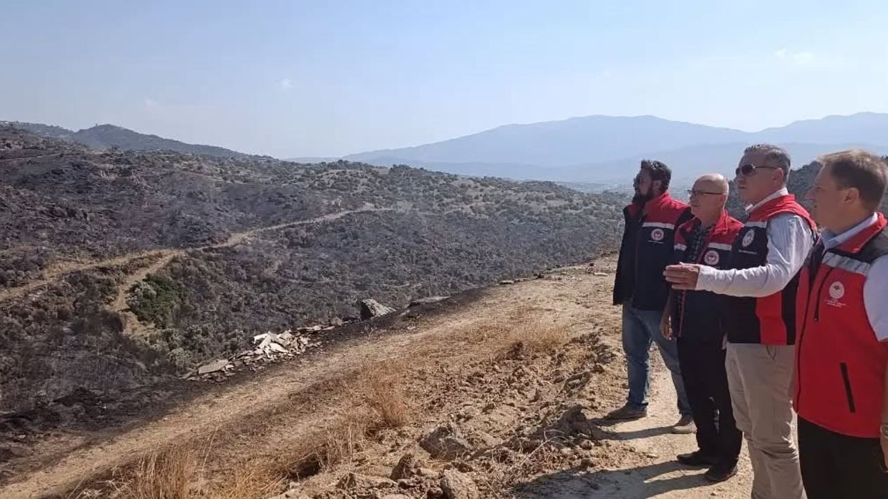 Çine'de yangın hasar tespit çalışmaları saha incelemeleriyle ilerliyor
