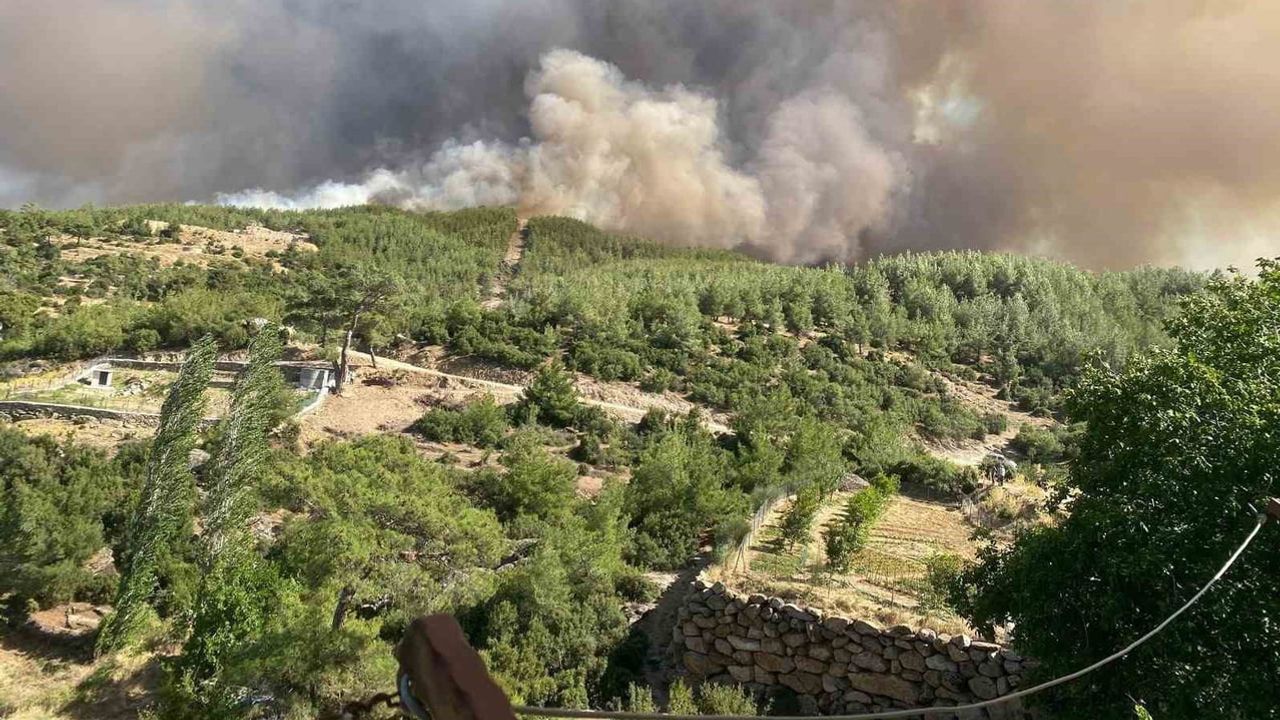 Çine'deki yangın kontrol altına alındı, ekipler 7 gün 24 saat teyakkuzda