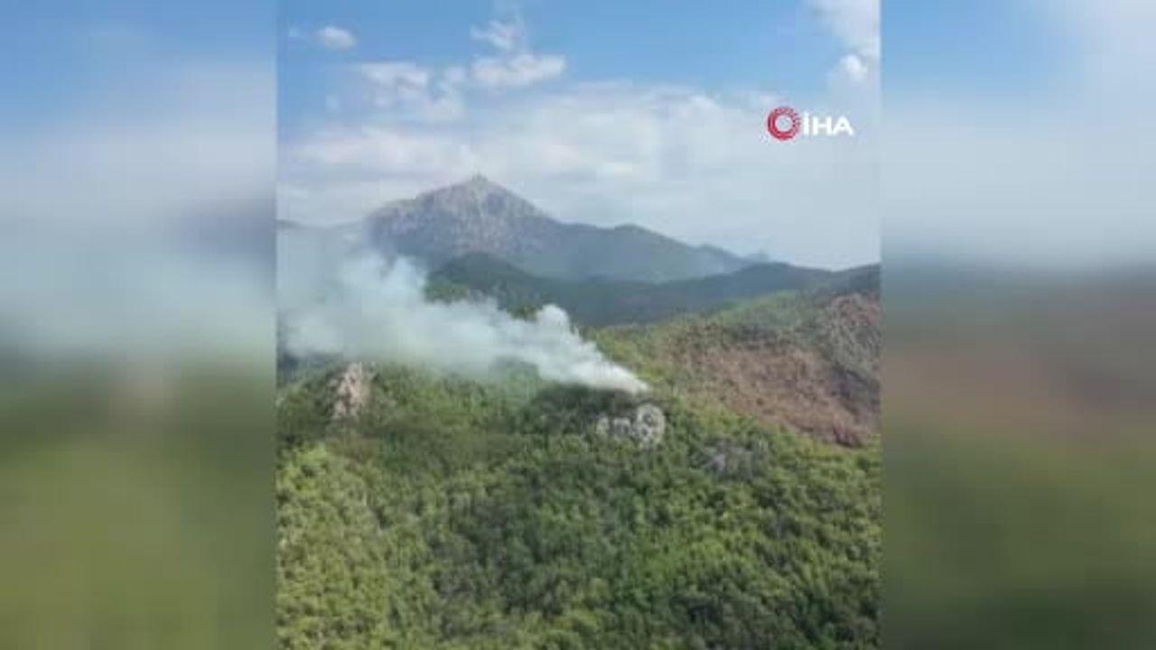 Çıralı'da orman yangını: ekipler havadan ve karadan müdahale ediyor