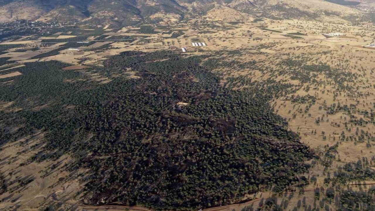 Çivril'de kuru otlarla başlayan yangın rüzgarla yayıldı, 100 dönüm zarar gördü