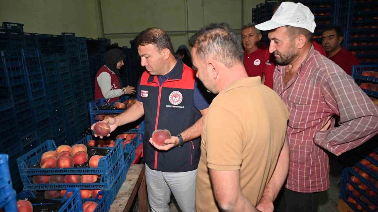 Çivril'de şeftalinin üretimden pazarlamaya yolculuğu yerinde incelendi
