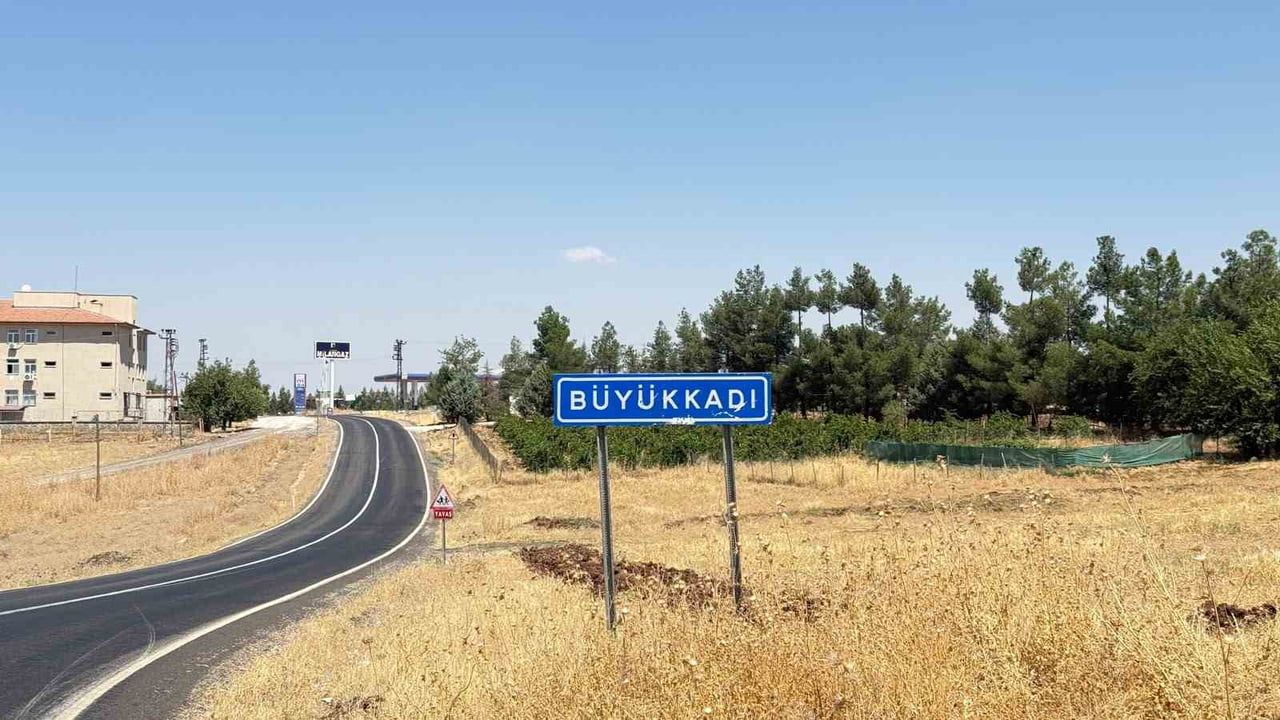 Çocuğun kedi tırmalaması sonrası kuduz pozitif çıktı; valilik koordinasyonunda müdahale