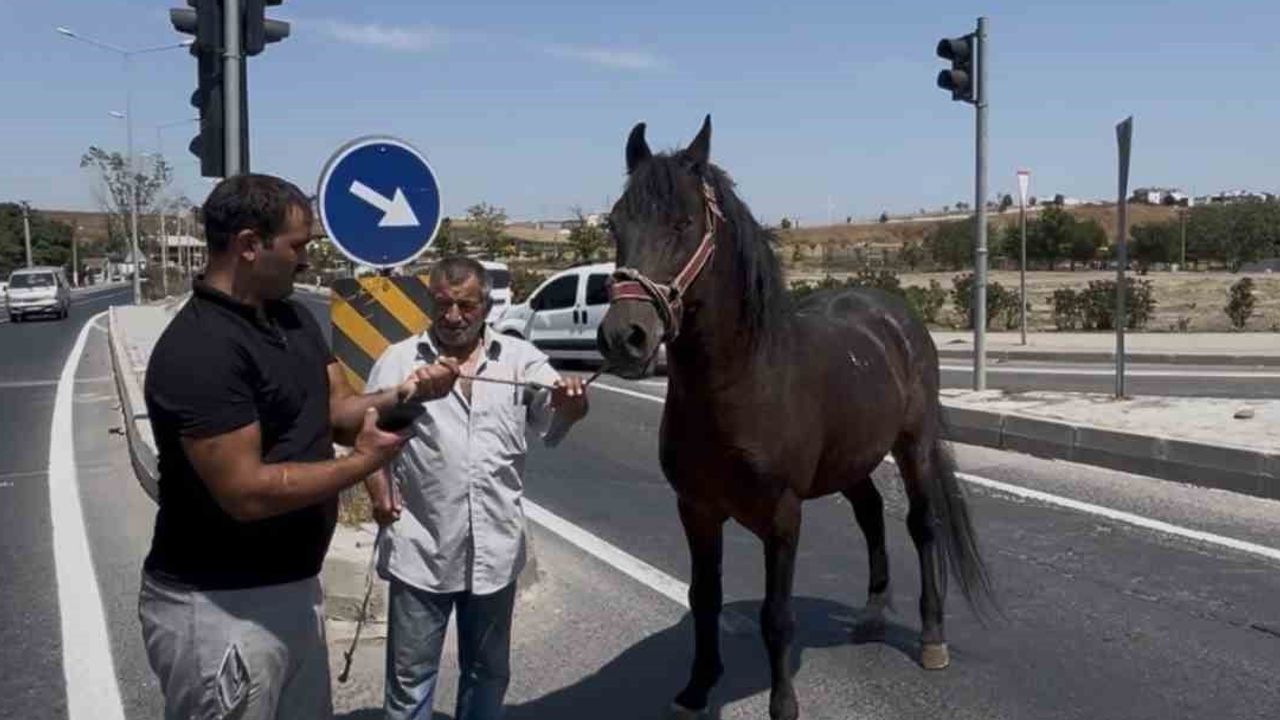 Çorlu'da sokaktan aniden çıkan at arabası kaza çıkardı: iki kadın yaralandı