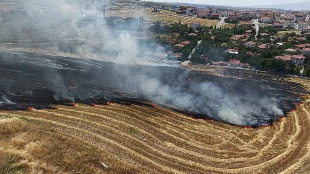 Çorum'da rüzgârın hızlandırdığı örtü yangını 40 dönümü etkiledi