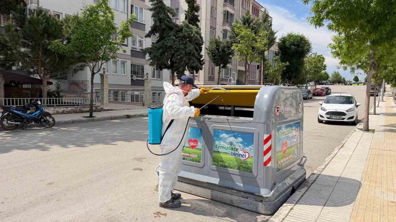Çorum'da vektörle mücadele yıl boyu sürüyor: temizlik ve ilaçlama eş zamanlı