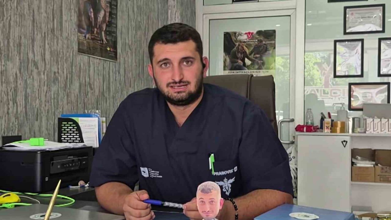 Çukura düşen gebe inek vinçle kurtarıldı, bakım sonrası toparladı