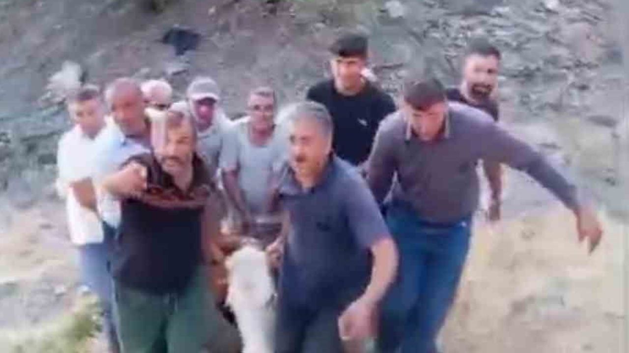 Dağlık bölgede mahsur kalan muhtarın büyükbaş hayvanı kurtarılamadı