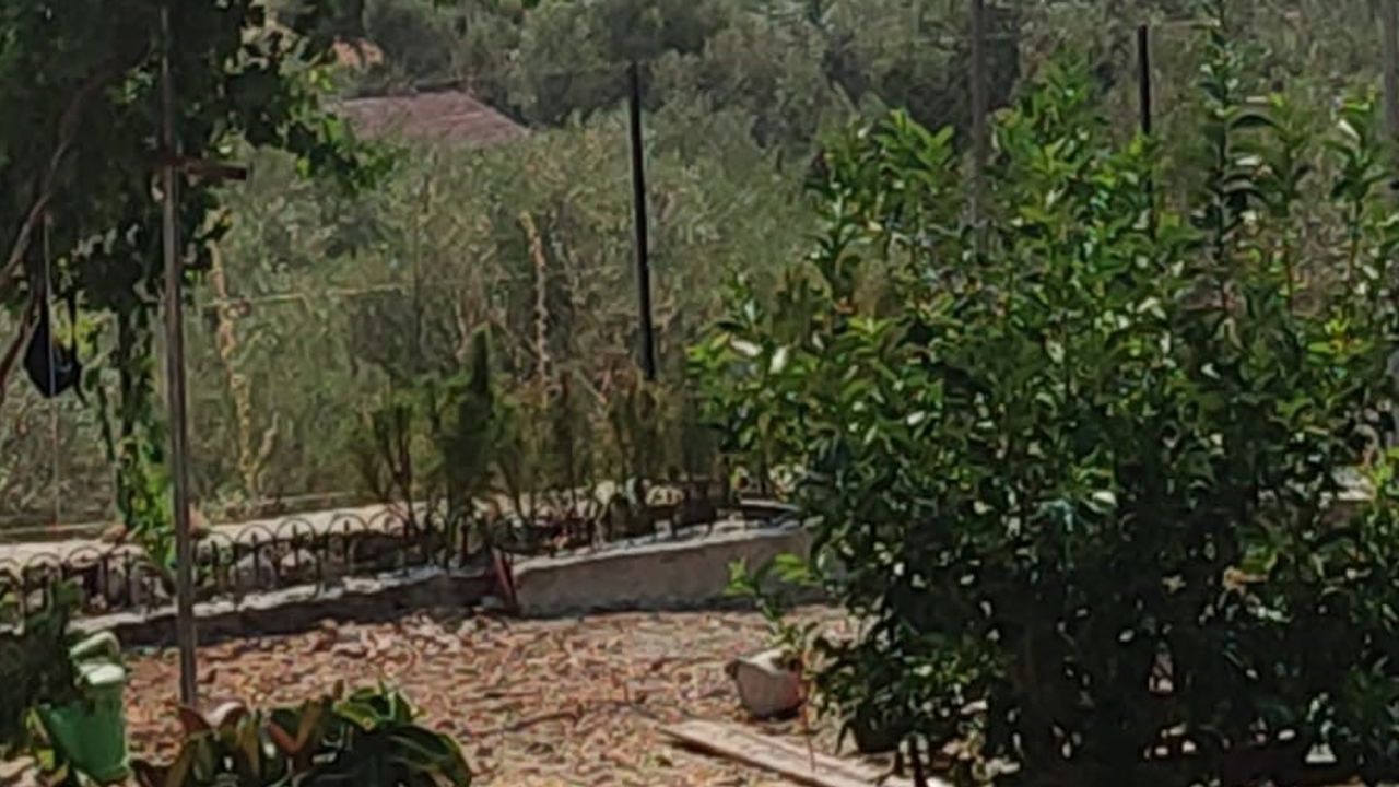 Dalaman'da ekiplerin koordinasyonu yangını kısa sürede kontrol altına aldı