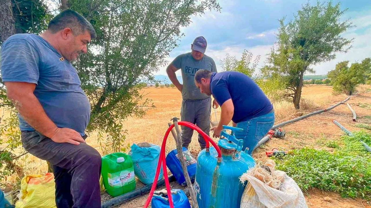 Dazkırı'da alternatif tarım denemeleri: barbunya ve tütün üretiminde saha incelemesi