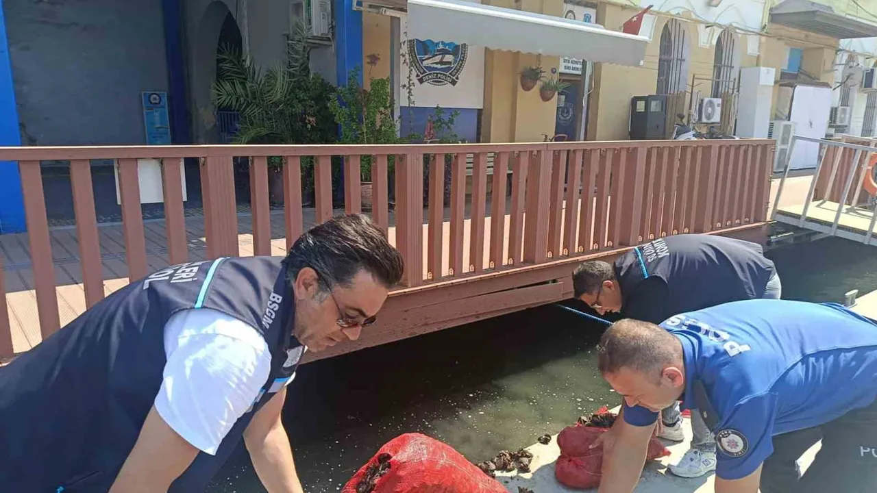 Denetimde 560 kilogram canlı kara midye denize iade edildi