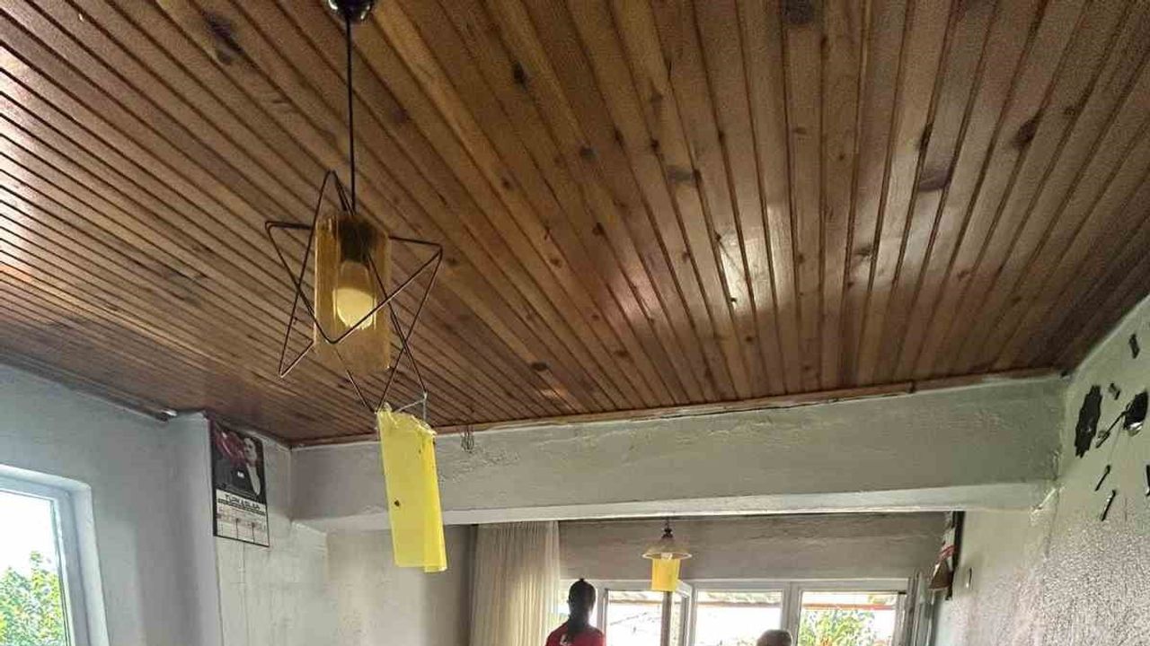 Denizli Büyükşehir evde bakım ağıyla binlerce yüzü güldürüyor