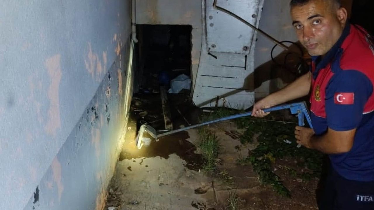 Depoya giren yılan Besni'de itfaiye ekiplerince güvenle doğaya bırakıldı
