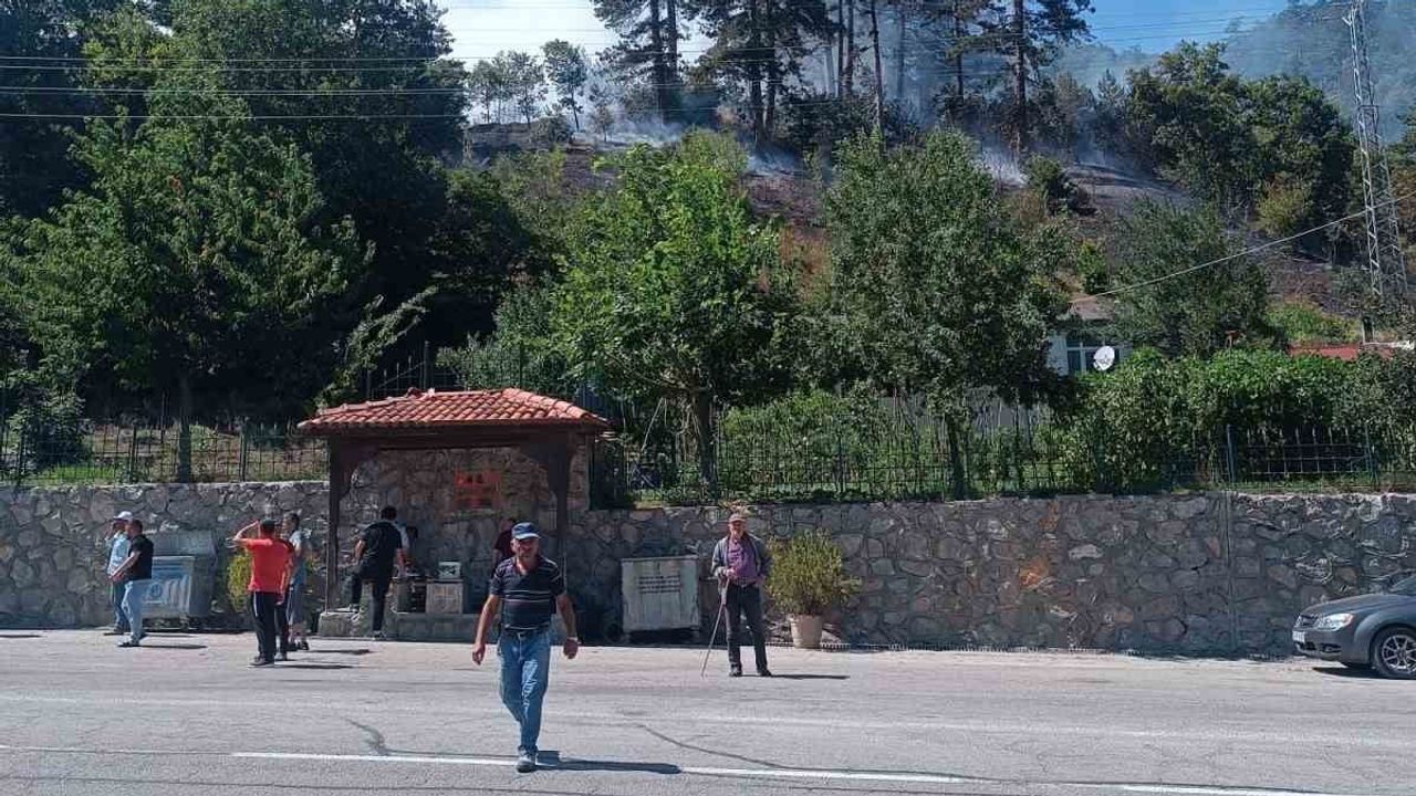 Derecuma Camii mevkiindeki orman yangını sonrası bir kişi gözaltına alındı