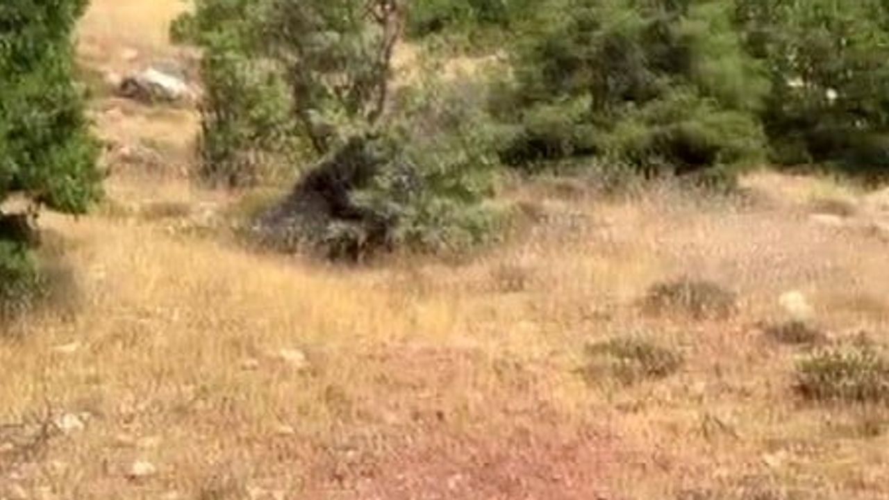 Dicle ve Hani kırsalında örtü yangını dağlık alanlara yayıldı