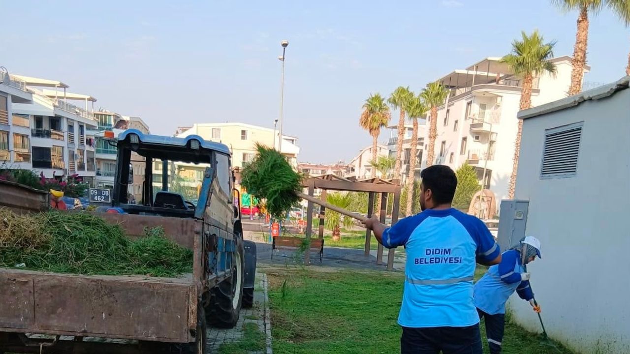 Didim'de bakım seferberliği: yeşil alanlarda ot biçme ve budama
