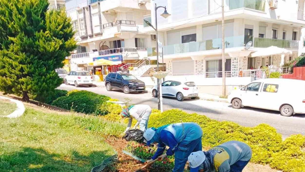 Didim'de fidanlıktan parklara kendi bitkisini üreten belediye