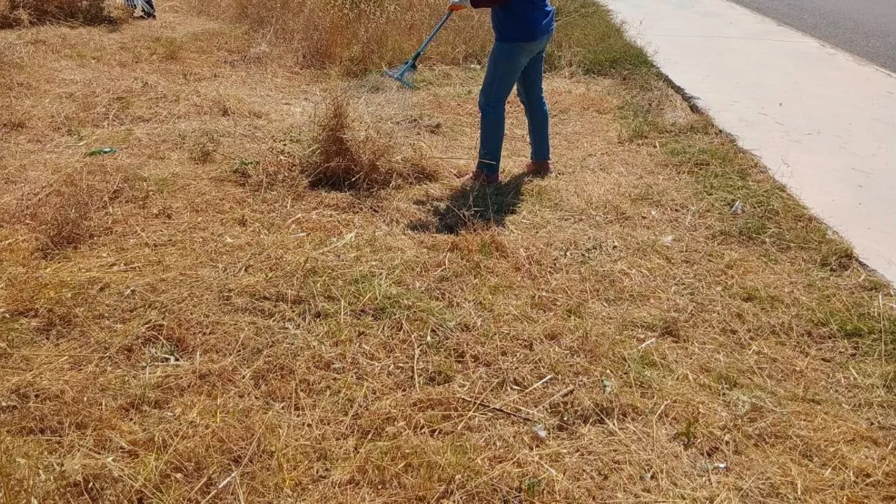 Didim'de kent estetiğini yükseltmek için kapsamlı bakım seferberliği