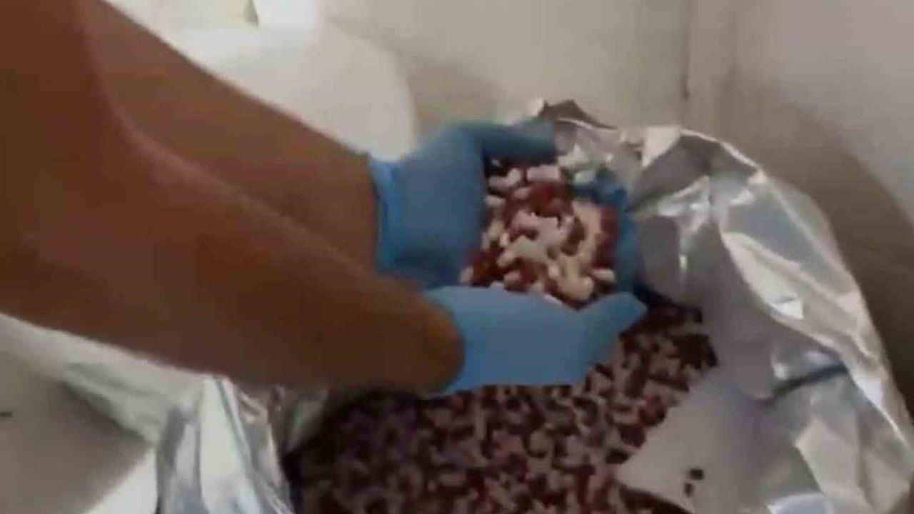 Didim'de sentetik hap imalathanesi çökertildi: piyasa değeri yaklaşık 100 milyon lira