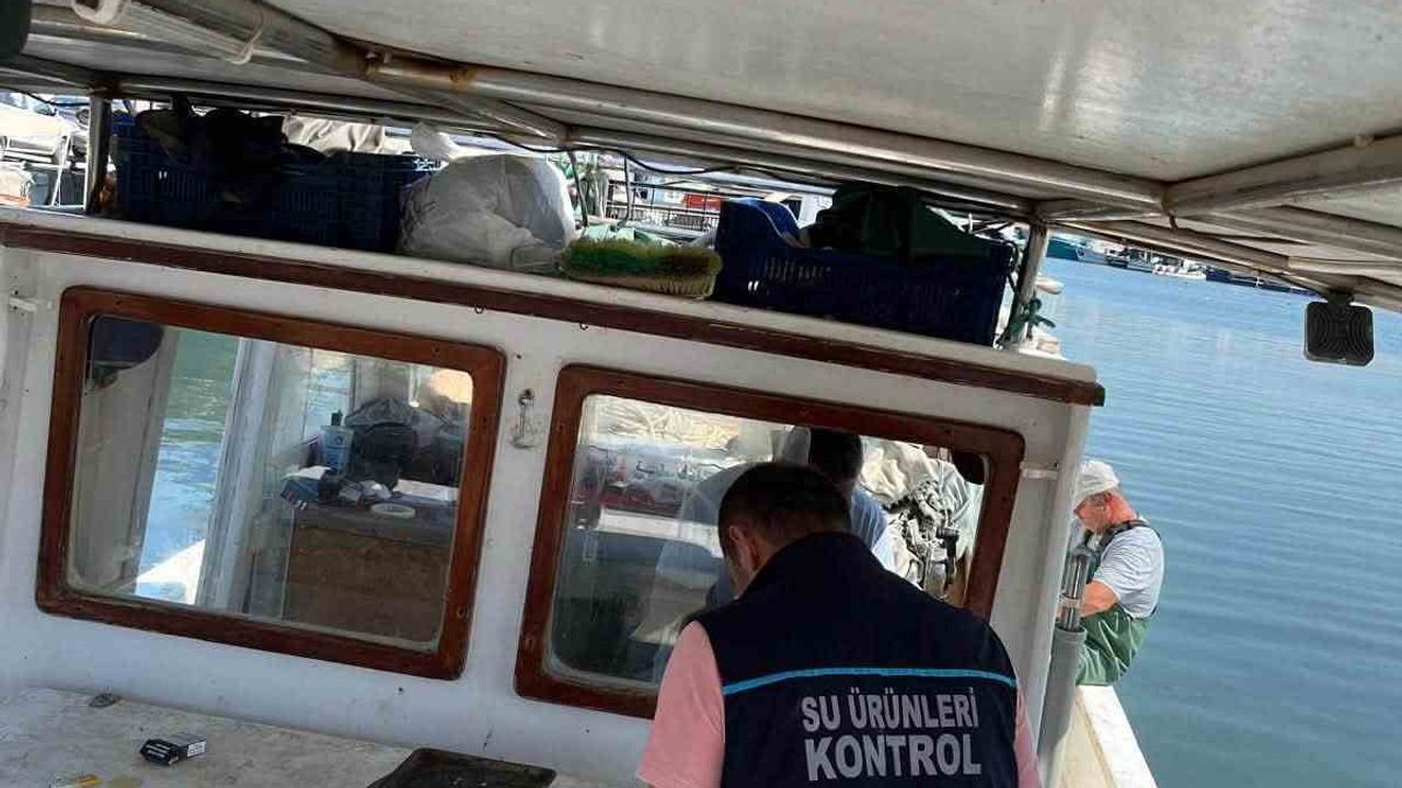 Didim'de su ürünleri denetimleri: sürdürülebilir avcılık öncelendi
