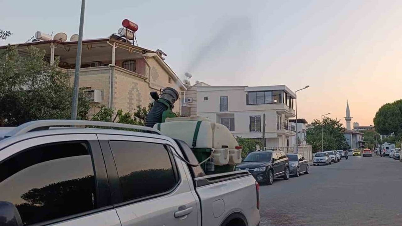 Didim'de yaz boyunca sinek ve haşerelere karşı kapsamlı çalışma