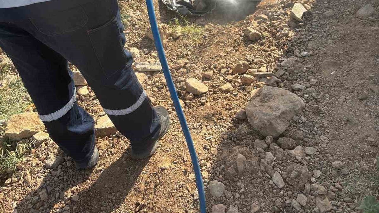 Didim'de yaz döneminde kapsamlı sivrisinek ve haşere ilaçlaması sürüyor