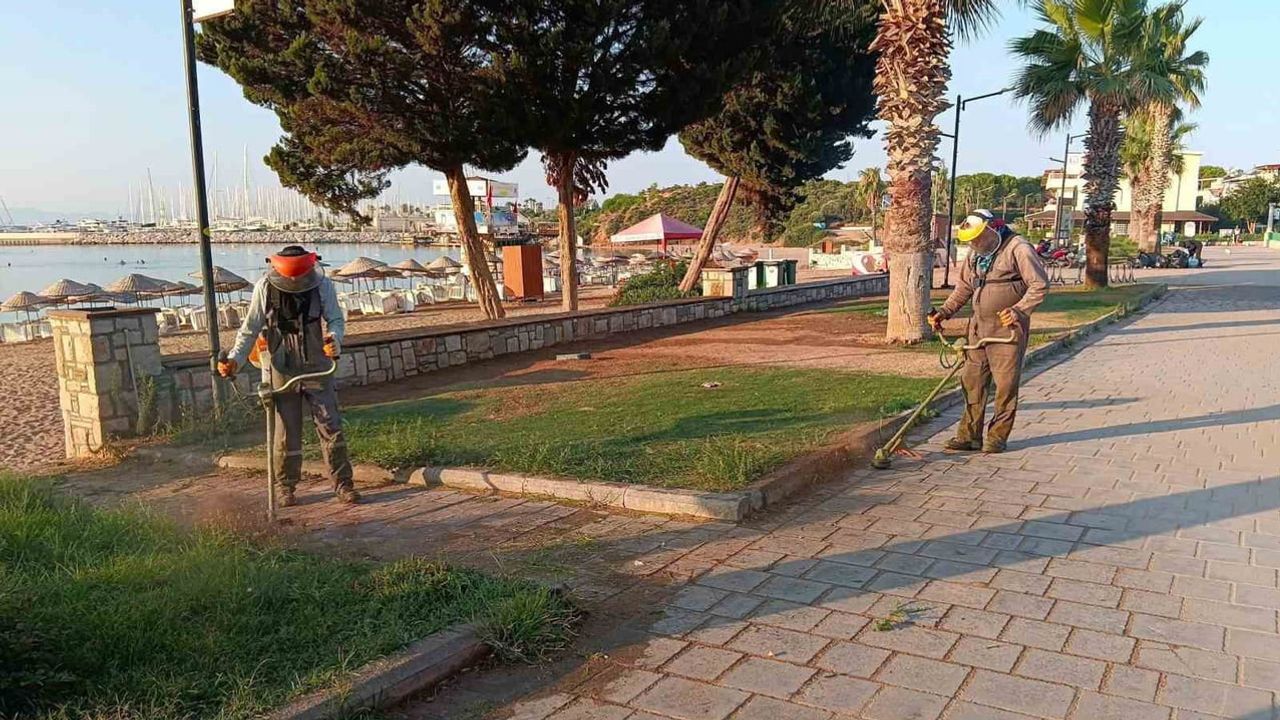 Didim'de yeşil dokuyu güçlendiren kapsamlı bakım çalışması