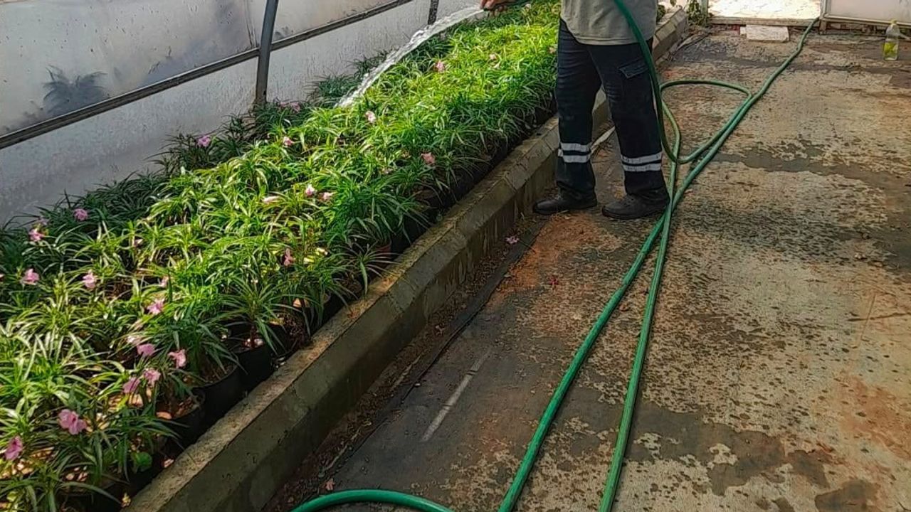 Didim'in yeşilinden doğal yağlara uzanan üretim hattı