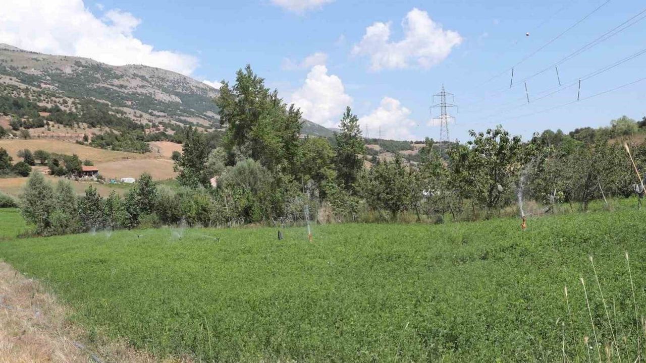 Direkli köyünde 19 hektarlık arazi basınçlı sulama ile suya kavuştu
