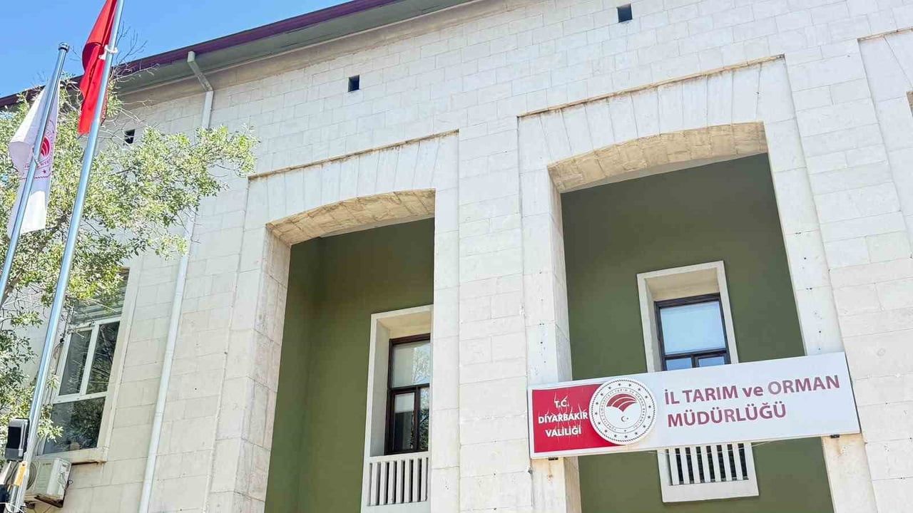 Diyarbakır'da kedi ısırığı sonrası 4 yaşındaki çocuk entübe edildi, kuduz pozitif çıktı