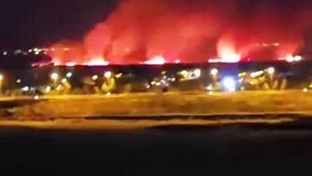 Diyarbakır'da sanayi sitesi yakınında gece çıkan yangın yerleşimleri tehdit etti