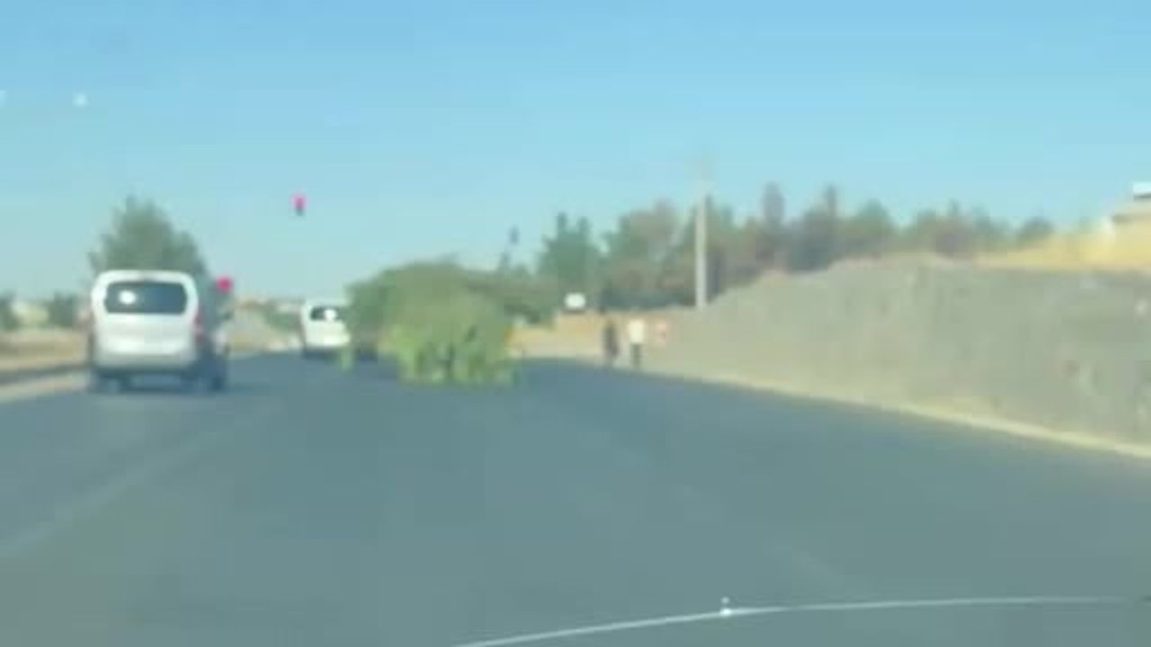 Diyarbakır'da yol ortasında ağaç yığını gibi ilerleyen traktör dikkat çekti