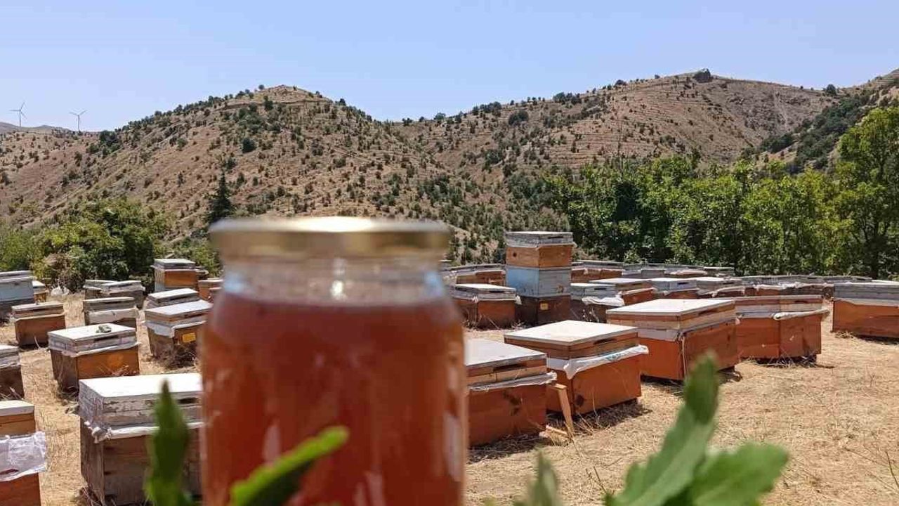 Diyarbakır kırsalında yeni sezon balı hasada girdi