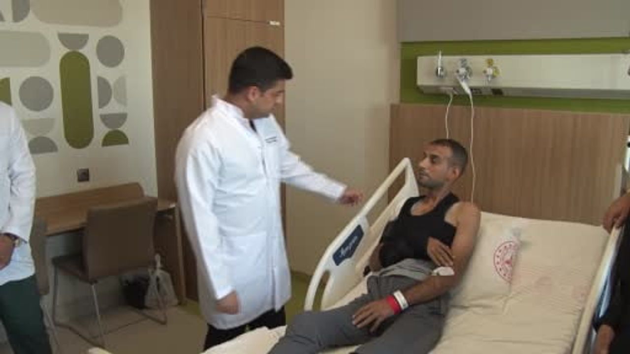 dizden alınan kıkırdakla omuzda doğal onarım sağlandı