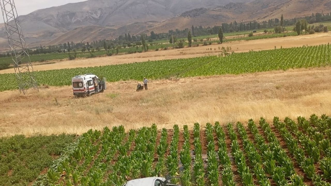Doğanşehir'de çukura yuvarlanan otomobil tütün tarlasına savruldu, 3 kişi yaralandı