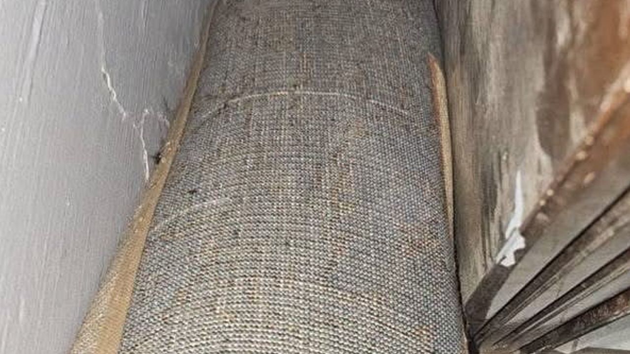 Doğu Akdeniz yazında artan yılan vakaları Hatay'da itfaiye ekipleri tarafından doğaya bırakıldı