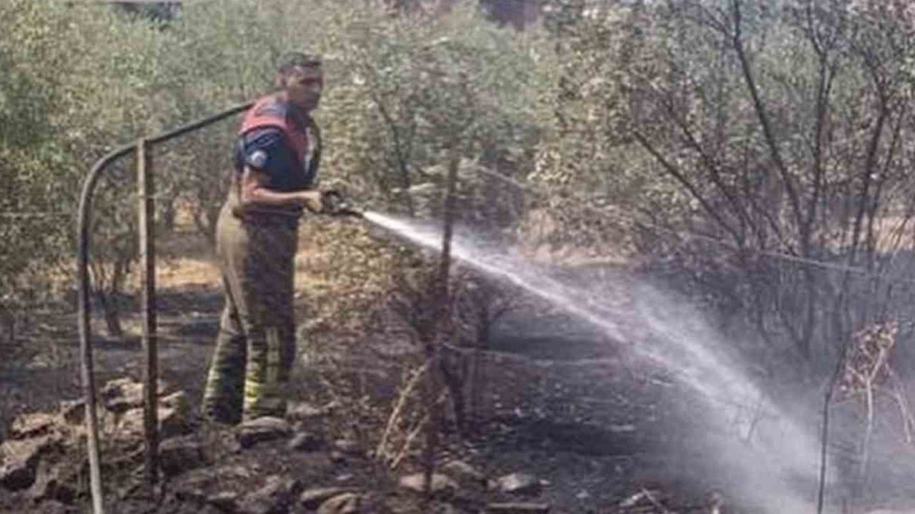 Dörtyol'da bahçe yangını ekiplerin hızlı müdahalesiyle kontrol altına alındı