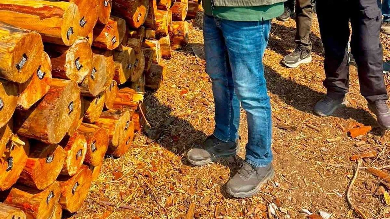 Dörtyol orman işletmesinde üretim hedefleri ve yangın hazırlıkları değerlendirildi