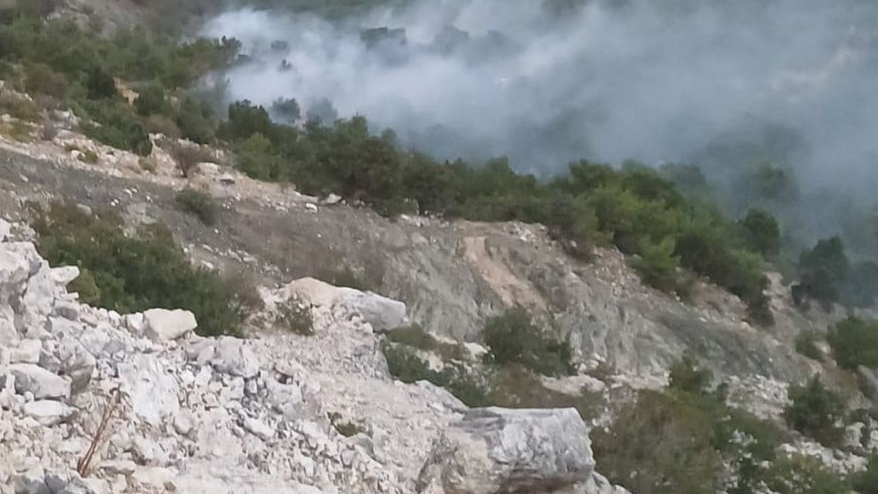 Düşen yıldırım Adıyaman'da orman yangınına yol açtı