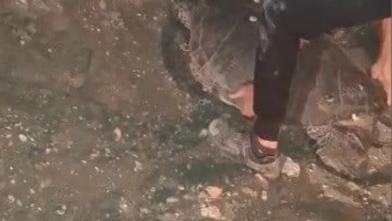 Duyarlı vatandaş Samandağ'da yolunu şaşıran caretta carettayı denize taşıdı