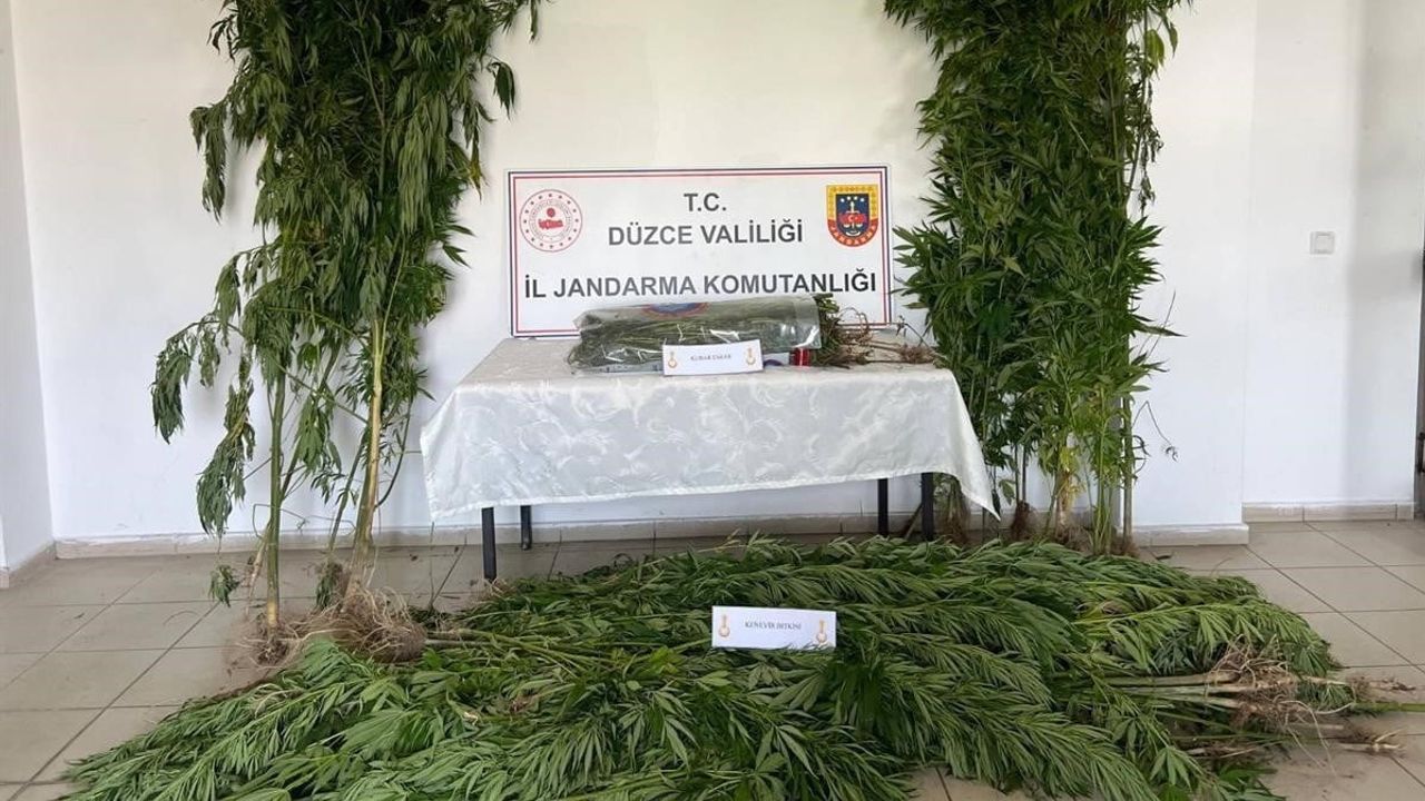 Düzce'de jandarmadan yoğun denetim: olayların yüzde 98'i çözüldü
