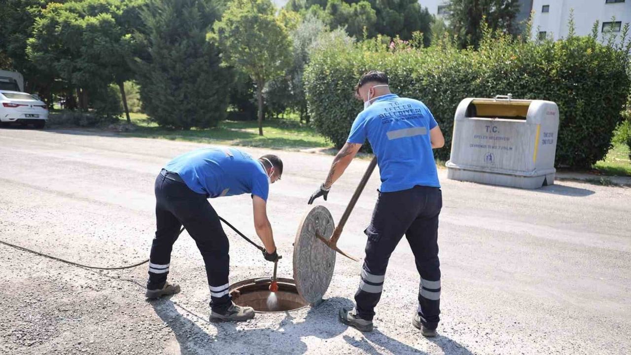 Efeler'de eşgüdümlü ilaçlama: larva ve haşereyle mücadele devam ediyor