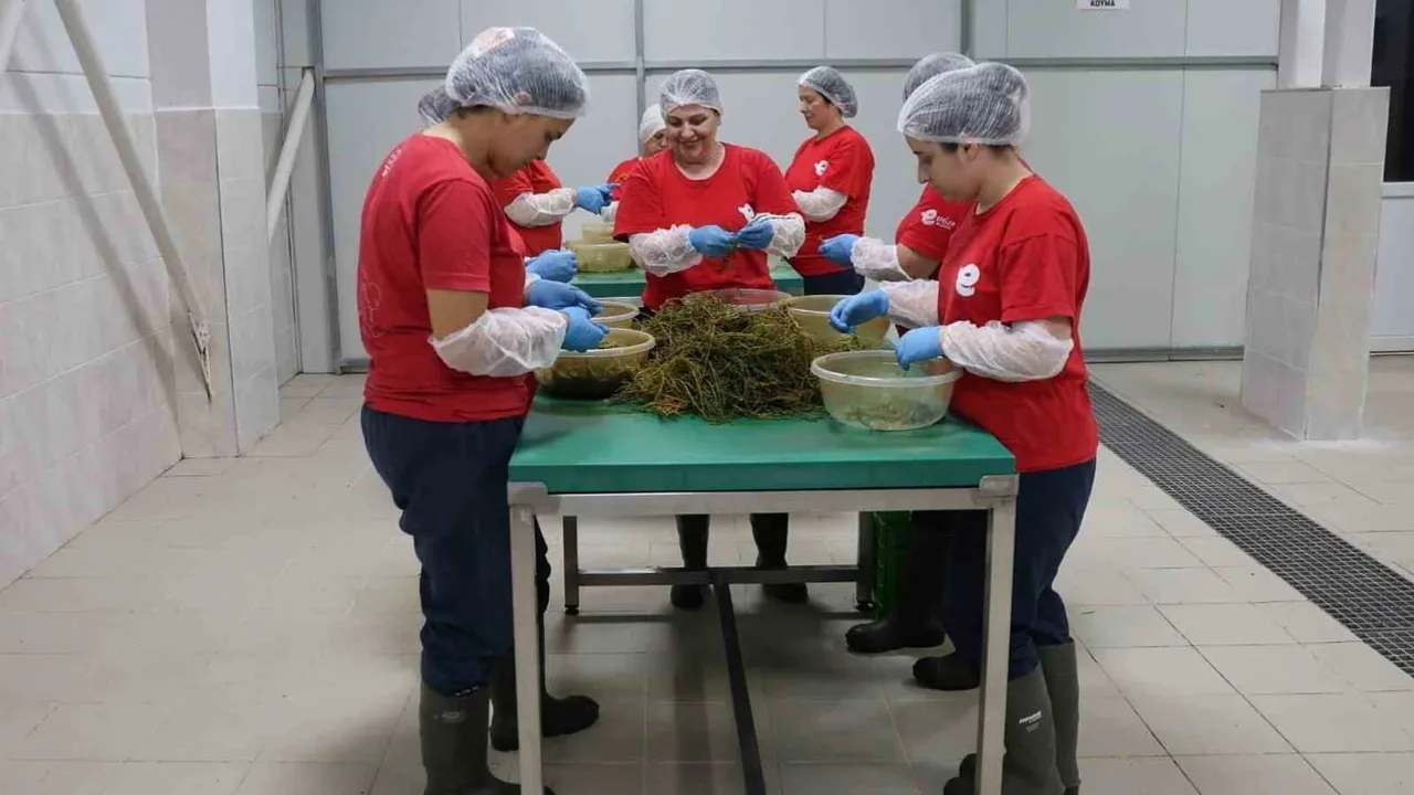 Efeler'den dünyaya: kadın emeğiyle yerel tatlar sofralara taşınıyor