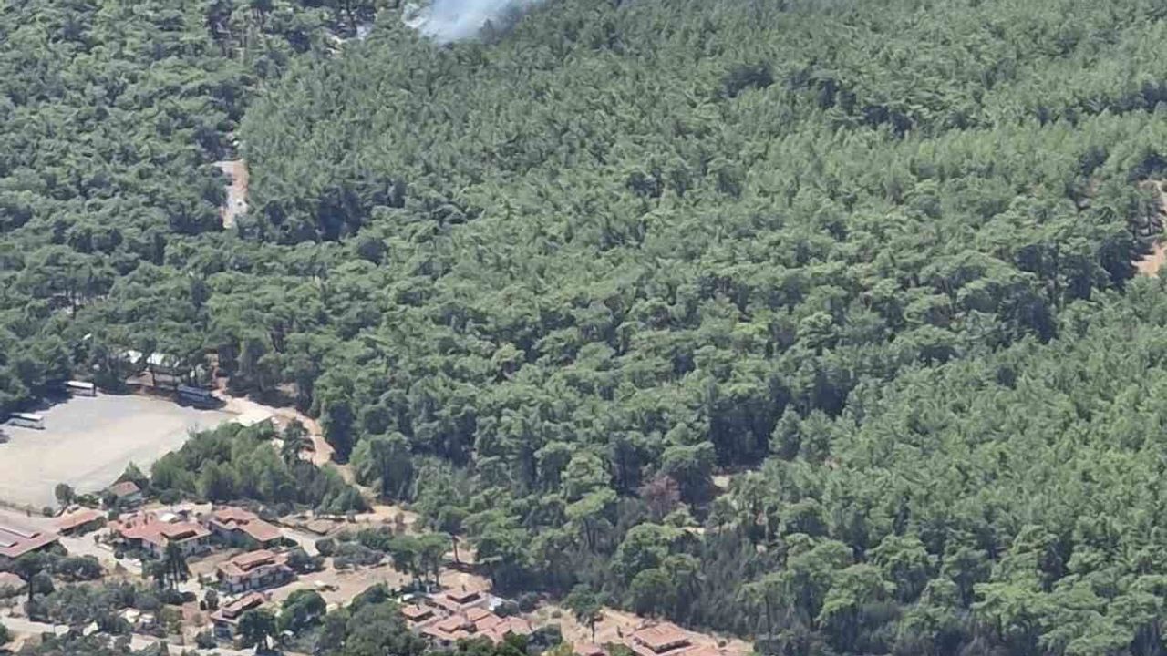 Ekiplerin hızlı müdahalesi Akyaka'daki yangının büyümesini engelledi