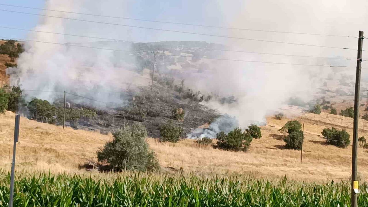 Ekiplerin müdahalesiyle Bingöl Kervansaray'daki otluk yangını büyümeden söndürüldü