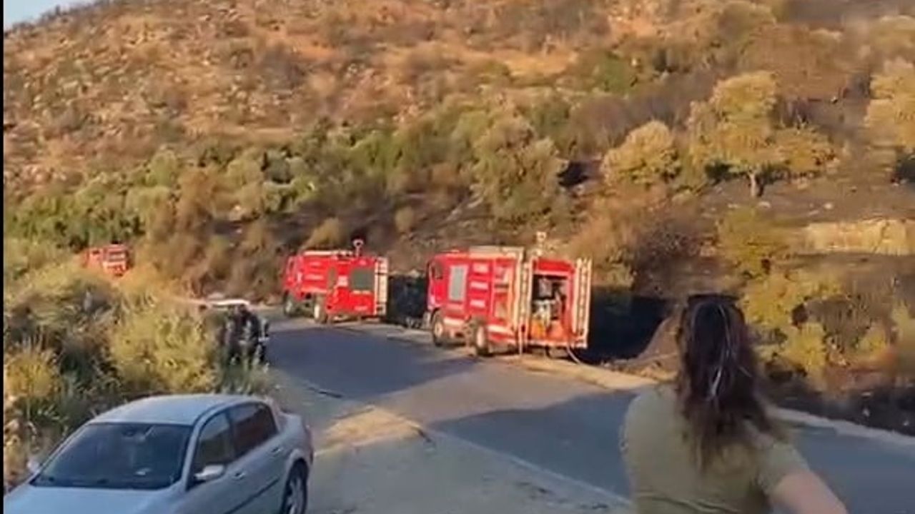 Ekiplerin zamanında müdahalesiyle Söke'deki orman yangını kontrol altına alındı