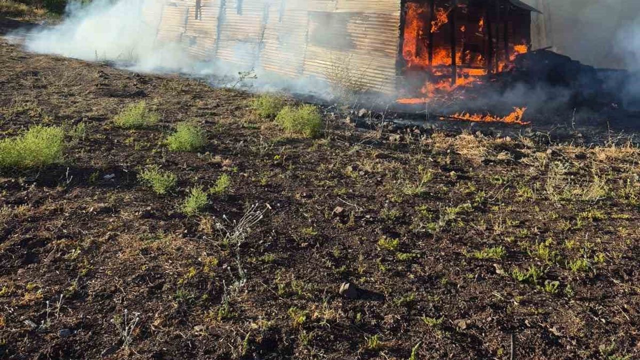 Elazığ'da 10 gün önce aldığı üç gebe inek ahır yangınında telef oldu