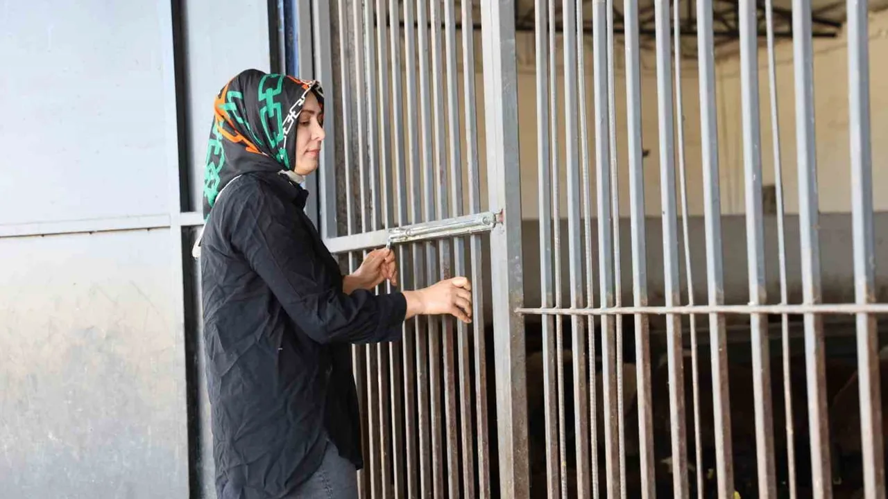 Elazığ’da kadın girişimi 500 başlık çiftlikle kırsala örnek oldu