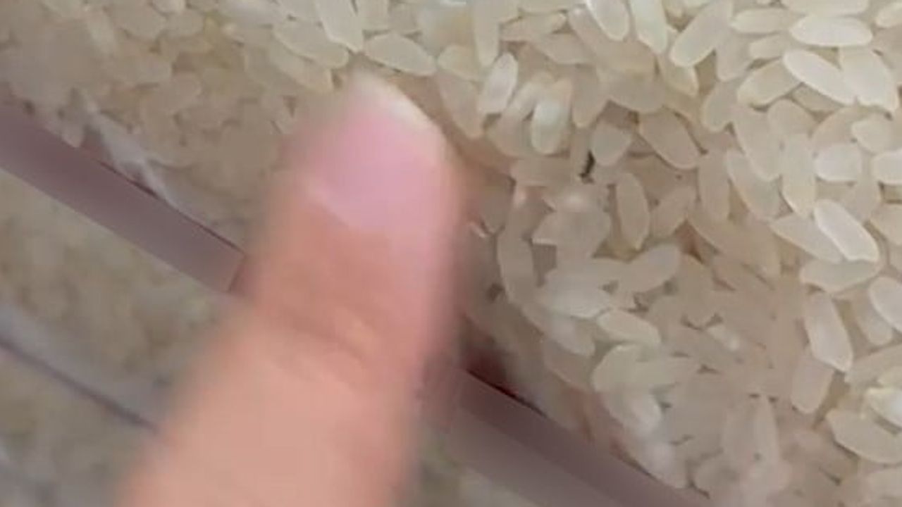 Elazığ'da paketli pirinçten böcek çıkması tüketiciyi alarma geçirdi