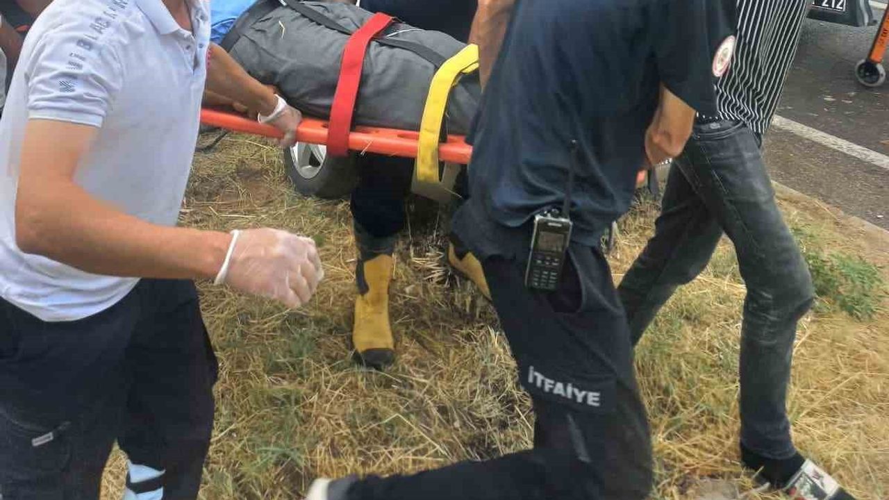 Elazığ'da refüjdeki ağaca çarpan otomobilde 4 yaralı
